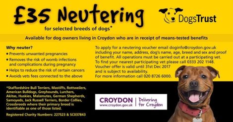 social-media-croydon