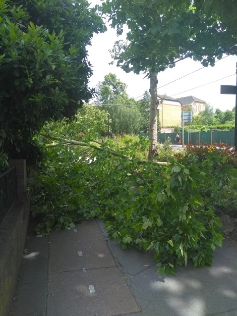 4DF85321-407B-4BB9-B30F-EA1D8267C4FD