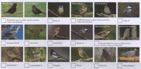 thumb_Birdwatch_1024