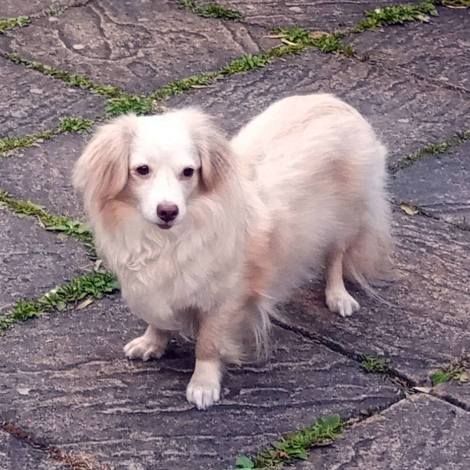 35524099_10155931683289081_1598753798719799296_n