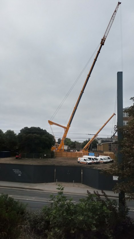 CraneAddiscombeGrove