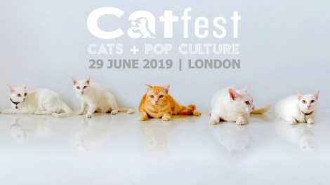 CAtFest